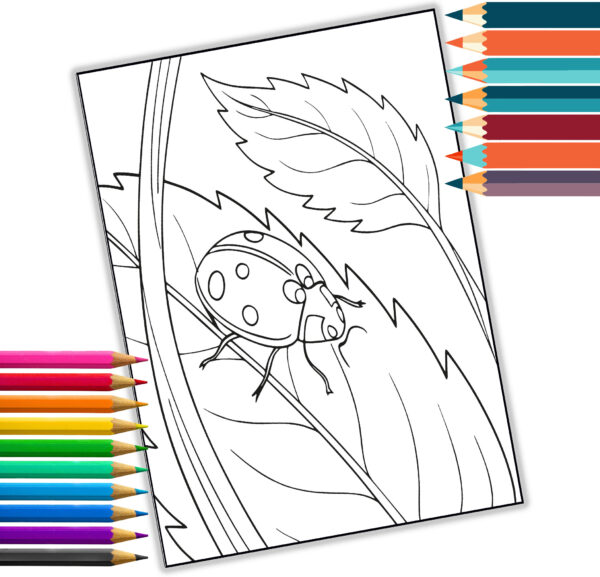 Garden Bugs Coloring Book for Kids & Adults – 35 Adorable Bug Designs to Color – Printable PDF