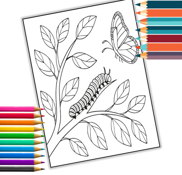 Garden Bugs Coloring Book for Kids & Adults – 35 Adorable Bug Designs to Color – Printable PDF