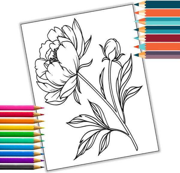 Beautiful Botanical Flowers Coloring Book | 29 Designs | Digital Download | Printable Adult Coloring Pages